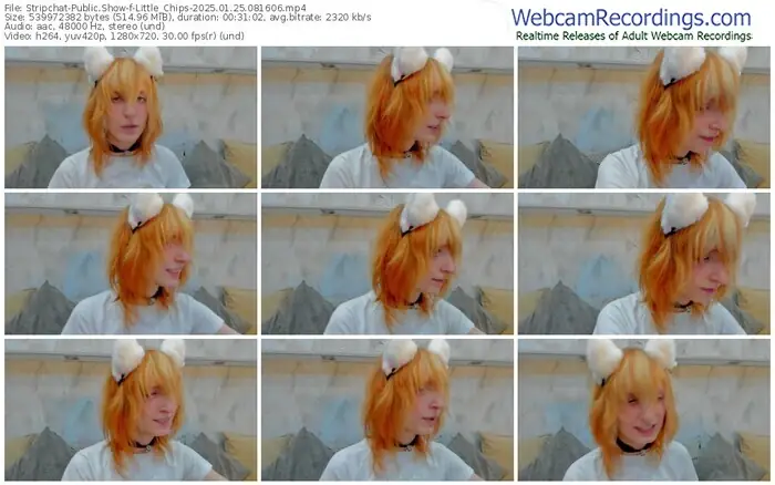 2025/01/25/stripchat-little_chips-08-16-06