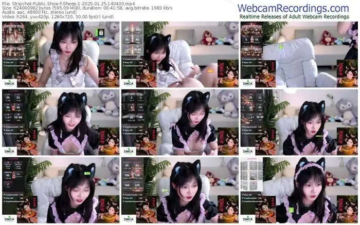 2025/01/25/stripchat-sheep-1-14-04-00