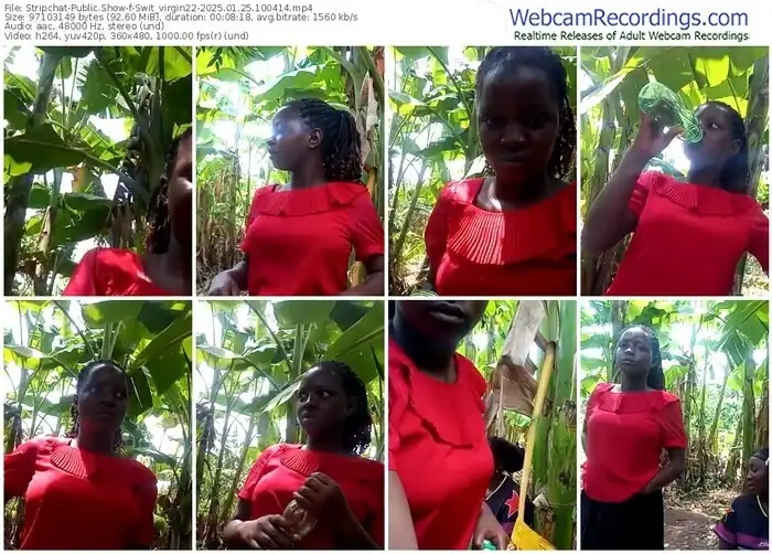 2025/01/25/stripchat-swit_virgin22-10-04-14