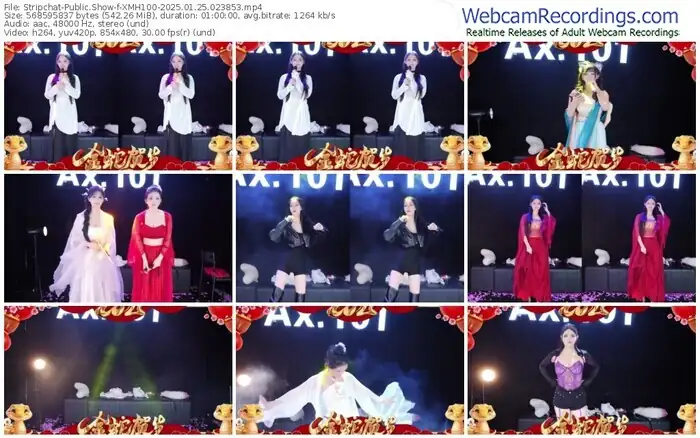 2025/01/25/stripchat-xmh100-02-38-53