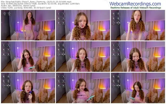 2025/01/25/stripchat-_rose_charming_-01-56-46