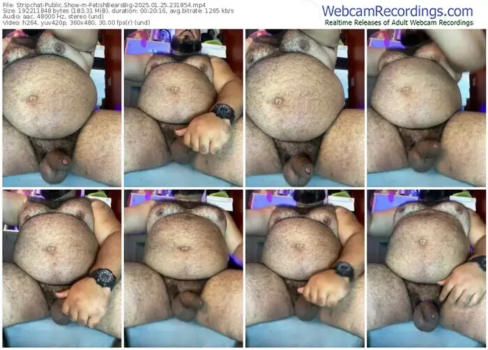 2025/01/25/stripchat-fetishbearsbig-23-18-54