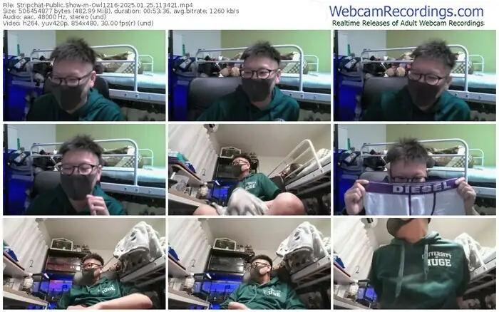 2025/01/25/stripchat-owl1216-11-34-21