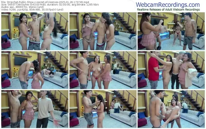2025/01/26/stripchat-secret-of-roomies-17-37-49