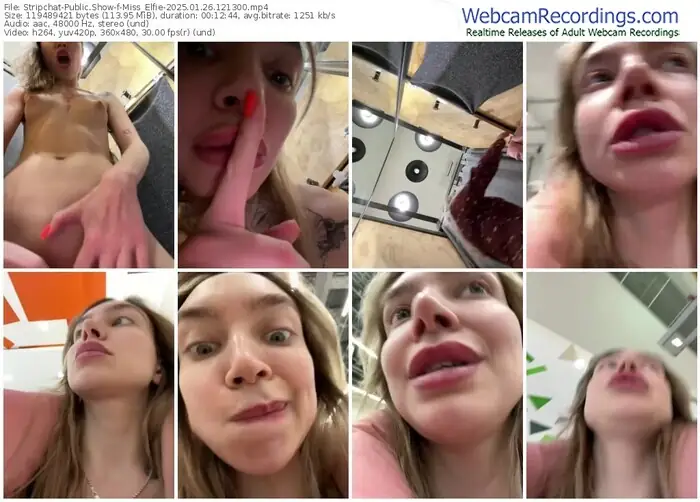 2025/01/26/stripchat-miss_elfie-12-13-00