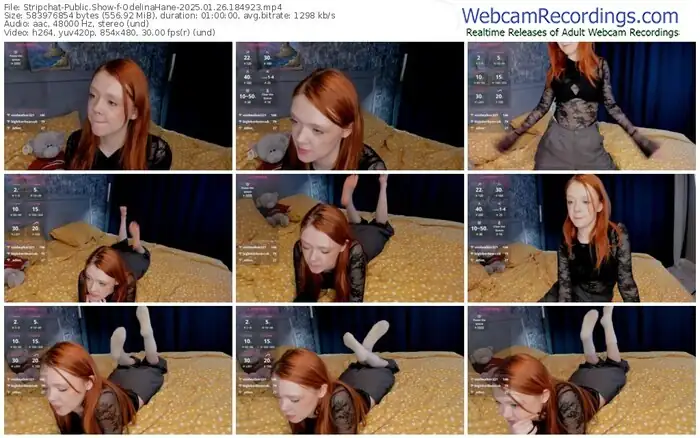 2025/01/26/stripchat-odelinahane-18-49-23