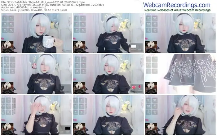 2025/01/26/stripchat-ruirui_ovo-03-00-41