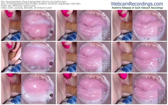 2025/01/26/stripchat-danigirl866-22-26-33