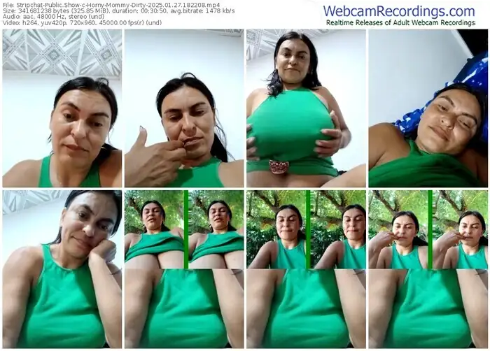 2025/01/27/stripchat-horny-mommy-dirty-18-22-08