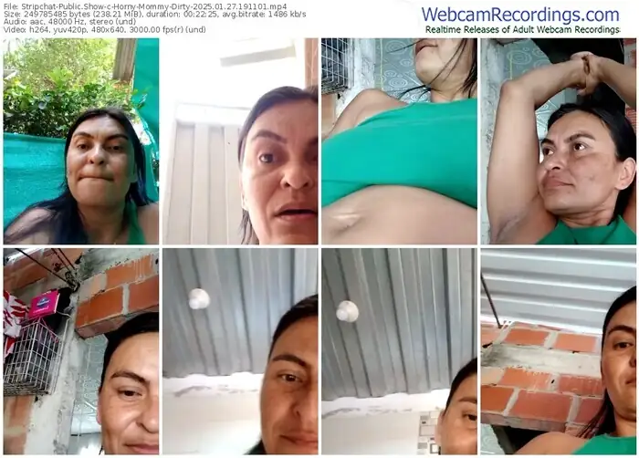 2025/01/27/stripchat-horny-mommy-dirty-19-11-01