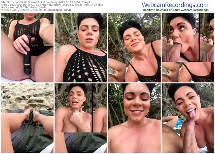 2025/01/27/stripchat-lukelouharvey-01-52-17