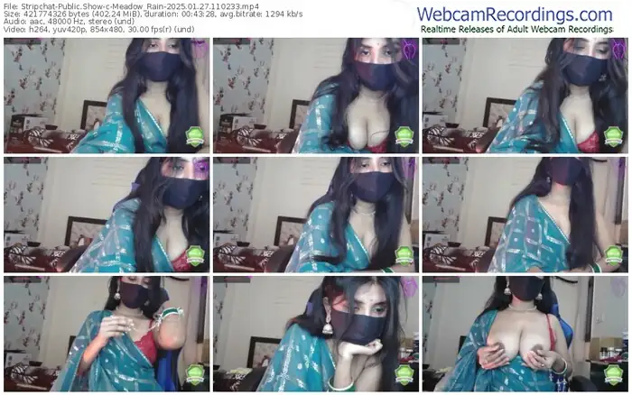 2025/01/27/stripchat-meadow_rain-11-02-33