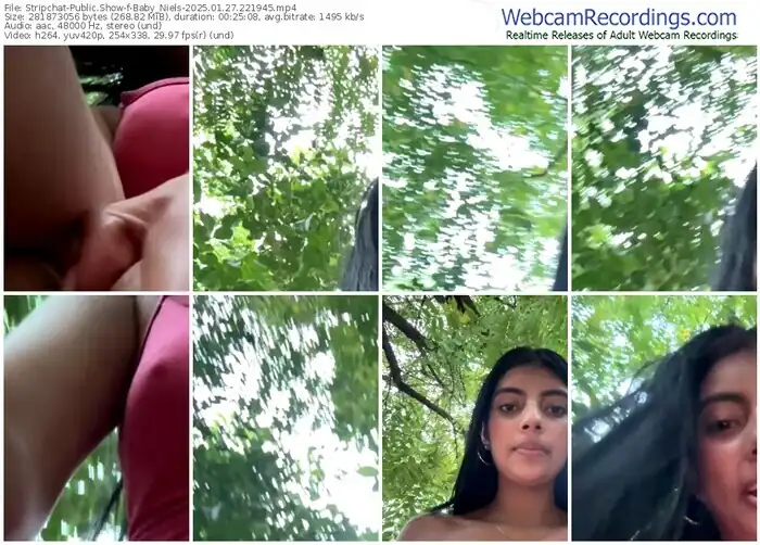 2025/01/27/stripchat-baby_niels-22-19-45