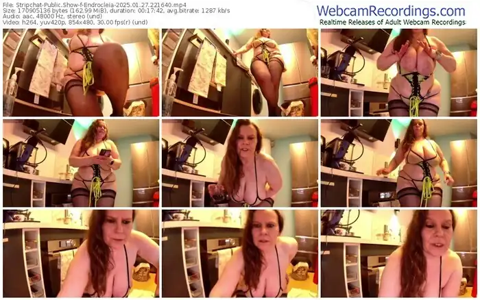 2025/01/27/stripchat-endrocleia-22-16-40