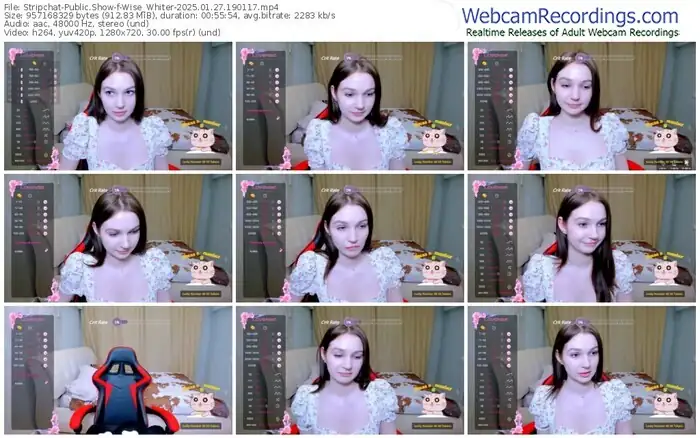 2025/01/27/stripchat-wise_whiter-19-01-17