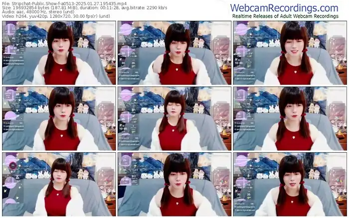 2025/01/27/stripchat-a0513-19-54-35