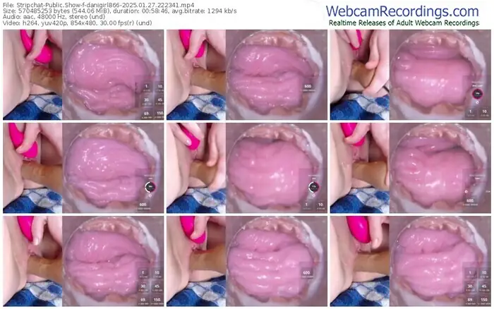 2025/01/27/stripchat-danigirl866-22-23-41