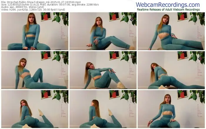 2025/01/27/stripchat-dragon_ink-19-35-30