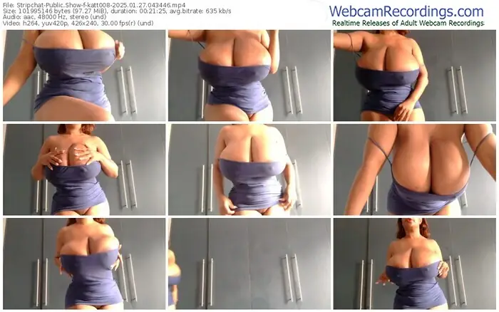 2025/01/27/stripchat-katt008-04-34-46