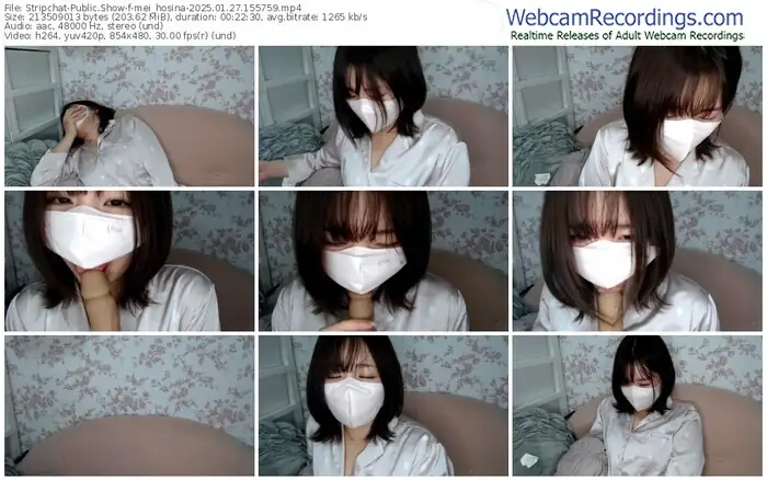 2025/01/27/stripchat-mei_hosina-15-57-59