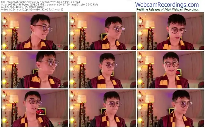 2025/01/27/stripchat-mr_evan1-19-31-29