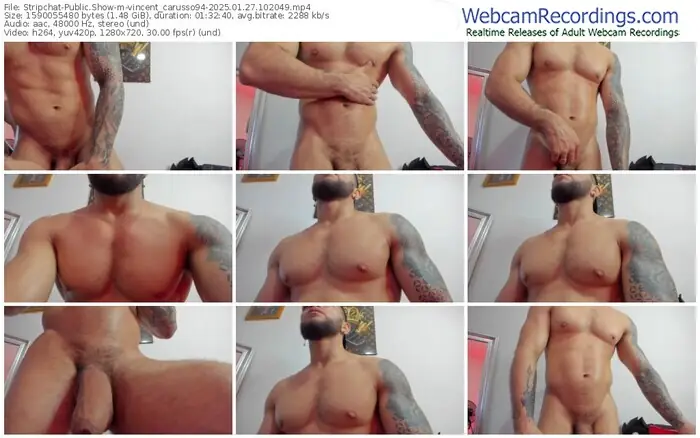 2025/01/27/stripchat-vincent_carusso94-10-20-49