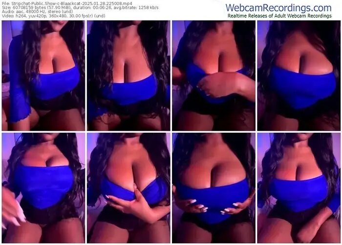 2025/01/28/stripchat-blaackcat-22-50-08
