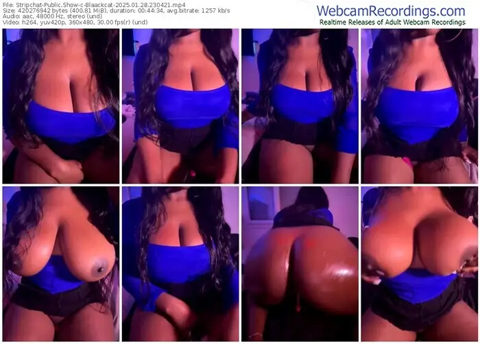 2025/01/28/stripchat-blaackcat-23-04-21