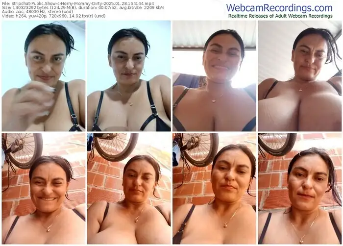 2025/01/28/stripchat-horny-mommy-dirty-15-41-44
