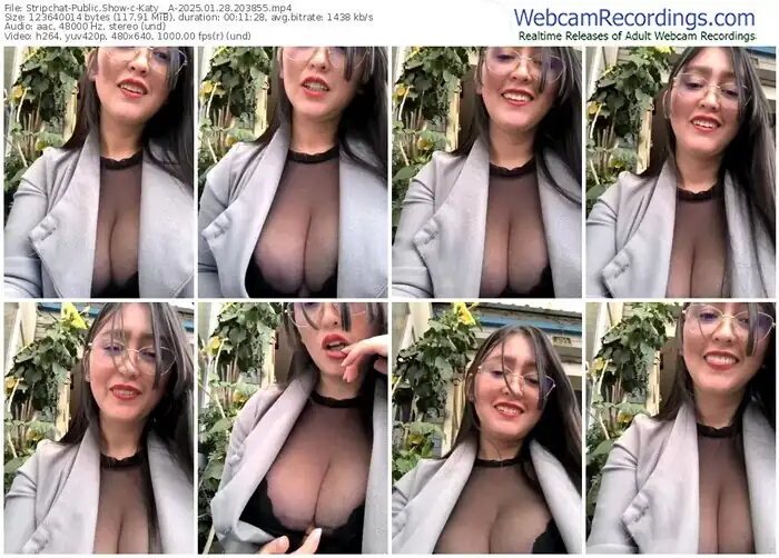 2025/01/28/stripchat-katy__a-20-38-55