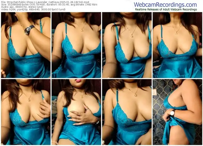 2025/01/28/stripchat-lavender_cattleya-18-15-42
