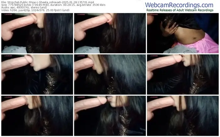 2025/01/28/stripchat-sheela_oshovadi-13-57-01