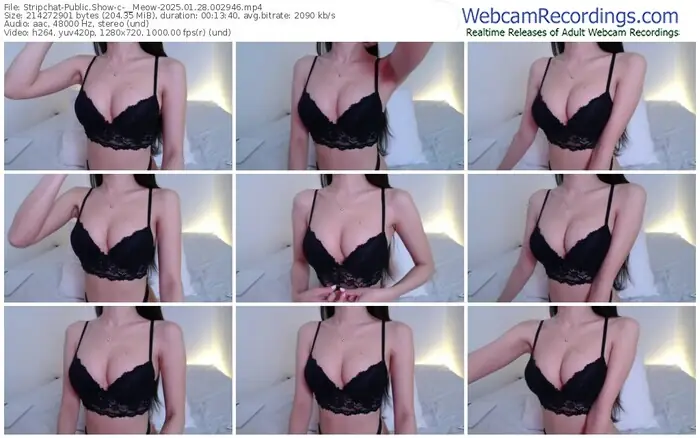 2025/01/28/stripchat-__meow-00-29-46