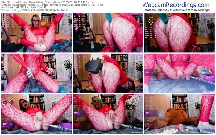 2025/01/28/stripchat-anal_queen_mona-21-14-29