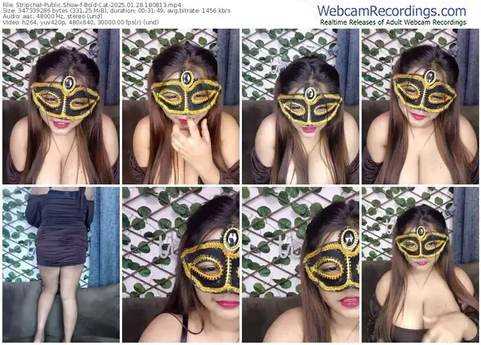 2025/01/28/stripchat-bold-cat-18-08-13