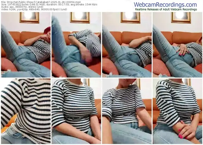 2025/01/28/stripchat-catababa67-19-39-54