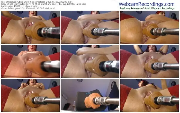 2025/01/28/stripchat-deserearose-03-52-03