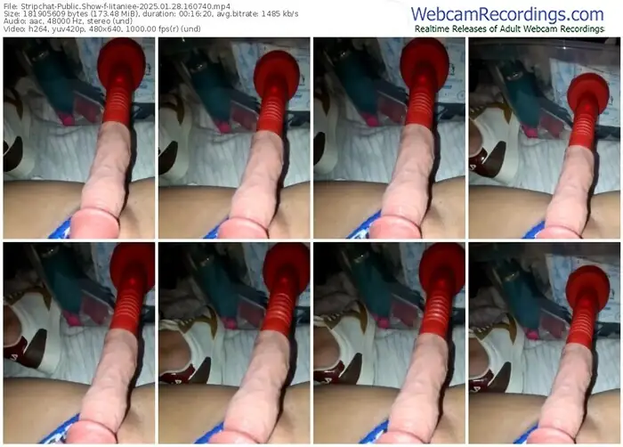 2025/01/28/stripchat-iitaniee-16-07-40