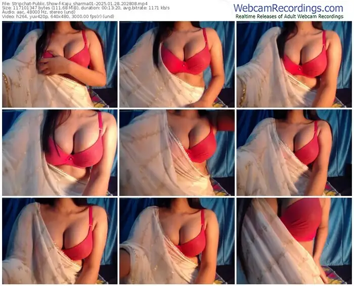2025/01/28/stripchat-kaju_sharma01-20-28-08