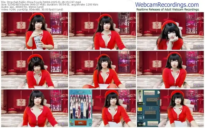 2025/01/28/stripchat-luckyto666-15-12-47