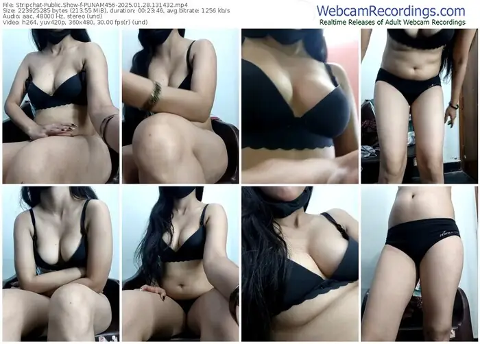 2025/01/28/stripchat-punam456-13-14-32