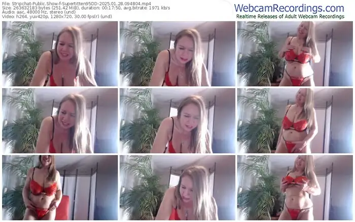 2025/01/28/stripchat-supertitten95dd-09-48-04