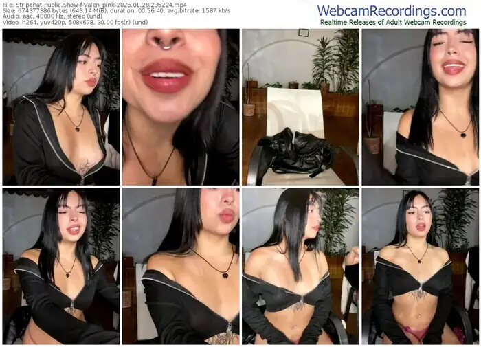 2025/01/28/stripchat-valen_pink-23-52-24