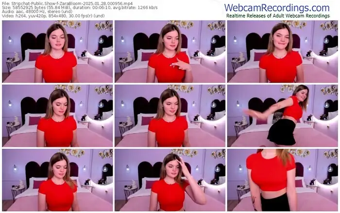 2025/01/28/stripchat-zarabloom-00-09-56