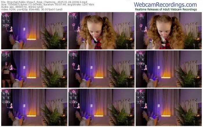 2025/01/28/stripchat-_rose_charming_-22-06-13