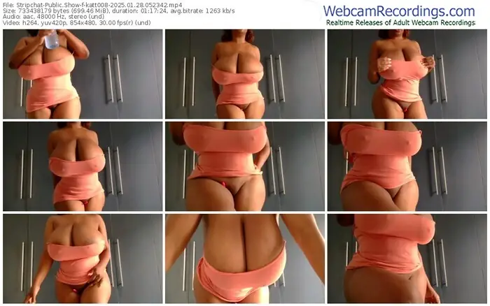 2025/01/28/stripchat-katt008-05-23-42