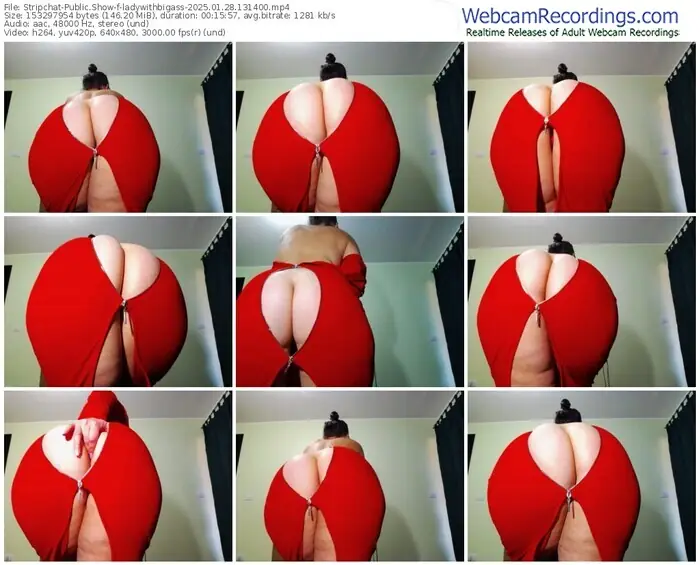 2025/01/28/stripchat-ladywithbigass-13-14-00