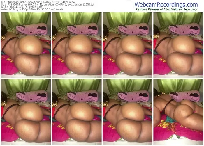 2025/01/28/stripchat-nur_lin-10-41-21