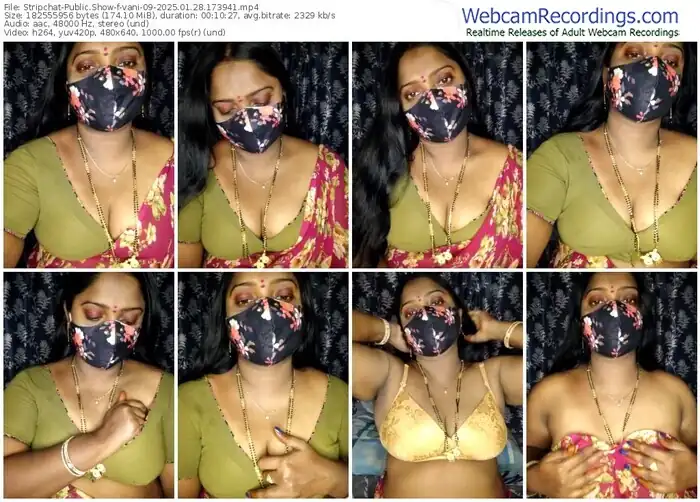2025/01/28/stripchat-vani-09-17-39-41