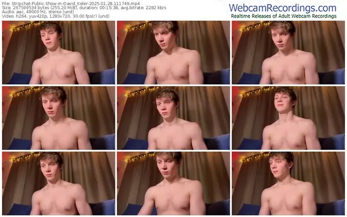2025/01/28/stripchat-david_keler-11-17-49